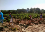pic nic carol valles 2