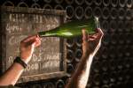 Visita Freixenet ampolla