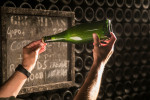 Visita Freixenet ampolla