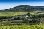 Celler-Eudald-Massana-Noya-General