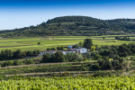 Celler-Eudald-Massana-Noya-General