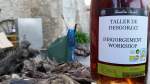 Botella degollada, Can Suriol