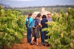 Enoturisme al celler eudald massana noya 
