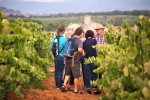 Enoturisme al celler eudald massana noya 