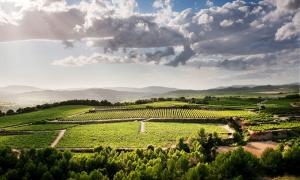 Penedès Turisme